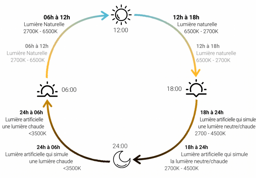 Schéma des recommandations en neuroarchitecture pour adapter l'éclairage naturel et artificiel sur 24 heures avec les températures de couleur en Kelvin.