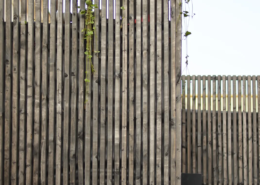 bardage-bois-plante-toiture.webp Détail du bardage bois de l'extension avec végétation en toiture-terrasse